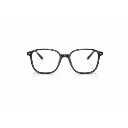 Sunglasses Ray Ban RB 2193 Leonard Photochromic