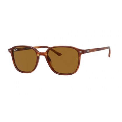 Sunglasses Ray Ban RB 2193 Leonard