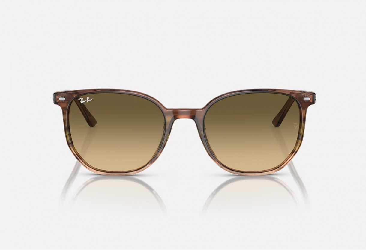 Sunglasses Ray Ban RB 2197 Elliot