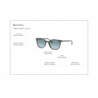 Γυαλιά ηλίου Ray Ban RB 2197 Elliot