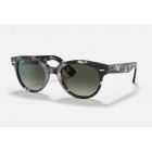 Sunglasses Ray Ban RB 2199 Orion