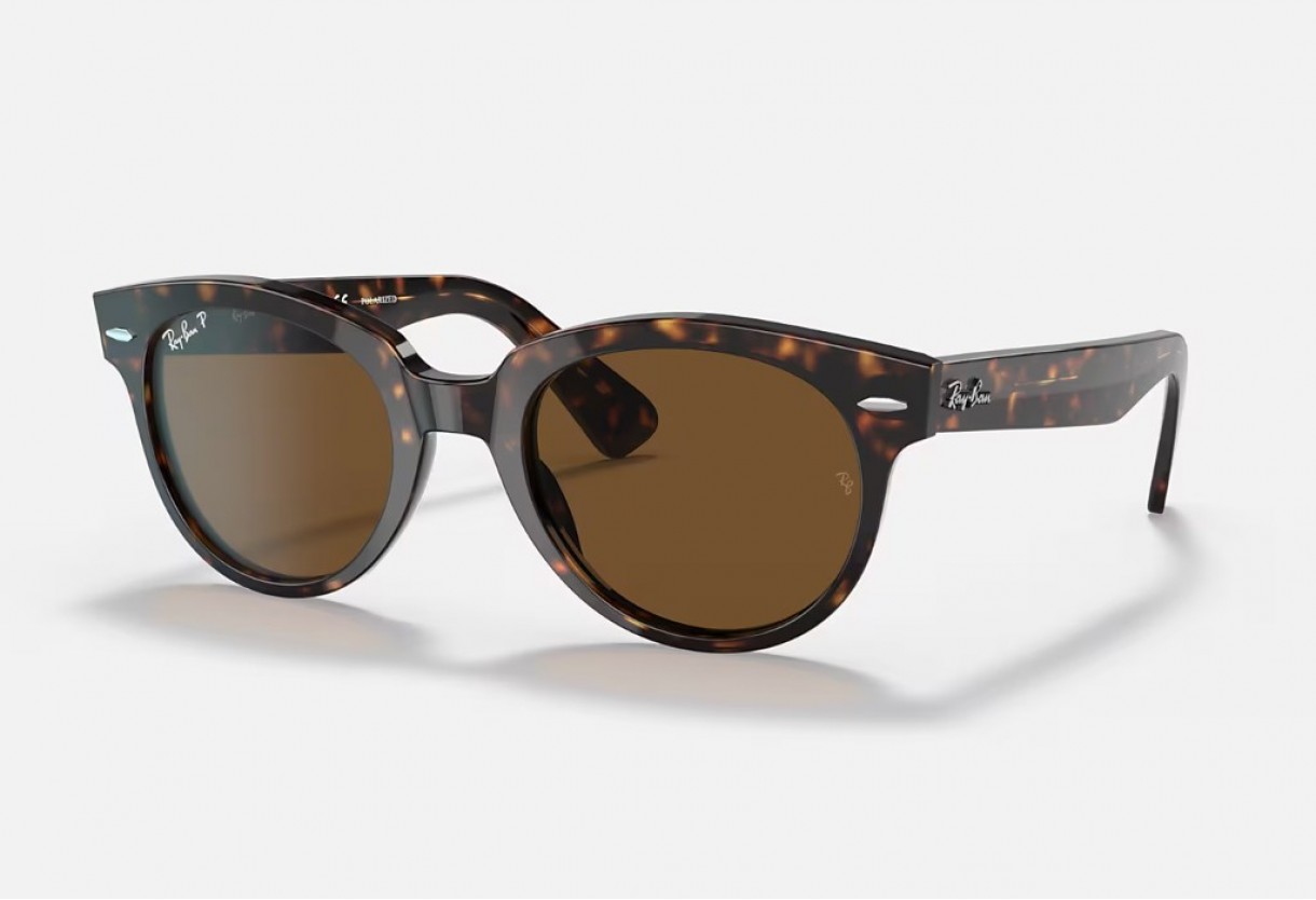 Sunglasses Ray Ban RB 2199 Orion Polarized