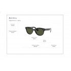 Sunglasses Ray Ban RB 2199 Orion