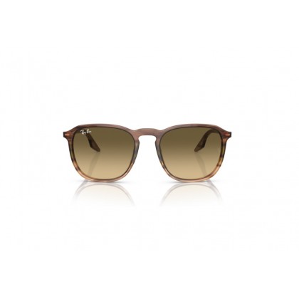 Sunglasses Ray Ban RB 2203