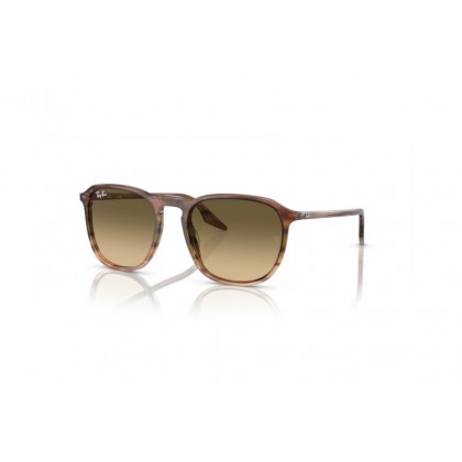 Sunglasses Ray Ban RB 2203