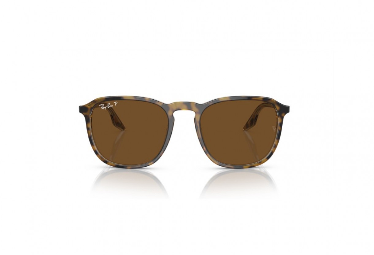 Sunglasses Ray Ban RB 2203 Polarized