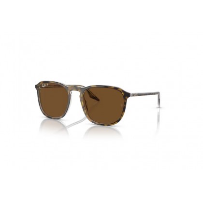 Γυαλιά ηλίου Ray Ban RB 2203 Polarized