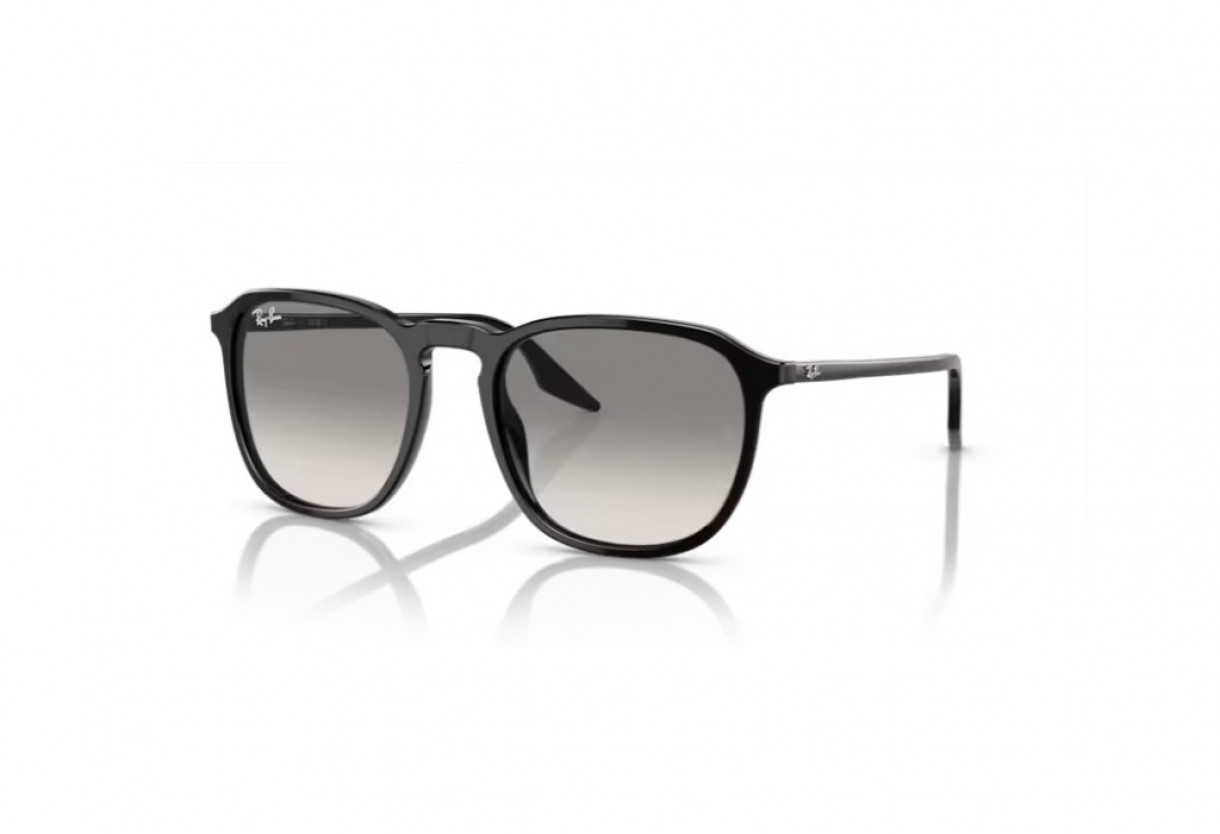 Γυαλιά ηλίου Ray Ban RB 2203