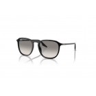 Γυαλιά ηλίου Ray Ban RB 2203