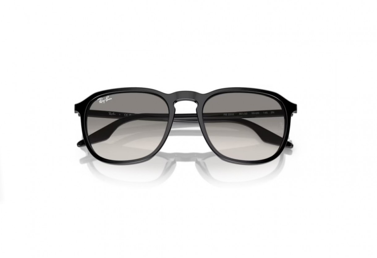 Γυαλιά ηλίου Ray Ban RB 2203