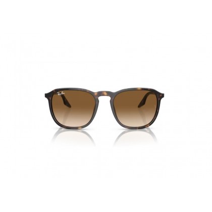 Γυαλιά ηλίου Ray Ban RB 2203