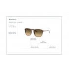 Γυαλιά ηλίου Ray Ban RB 2203