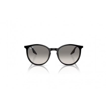 Sunglasses Ray Ban RB 2204 