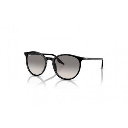 Sunglasses Ray Ban RB 2204 