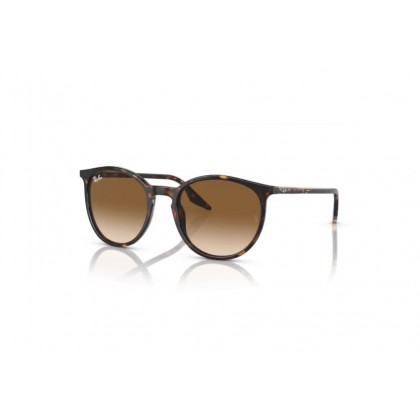 Γυαλιά ηλίου Ray Ban RB 2204