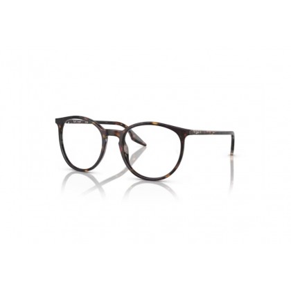 Sunglasses Ray Ban RB 2204 Photochromic