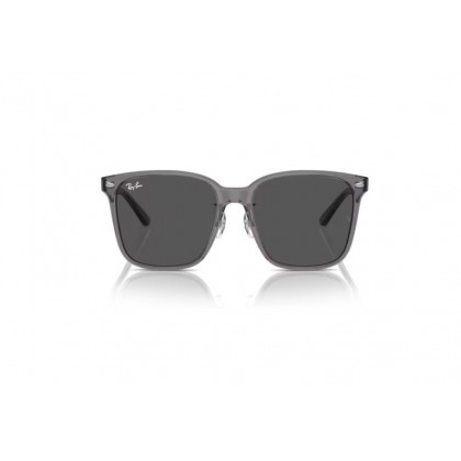 Sunglasses Ray Ban RB 2206D