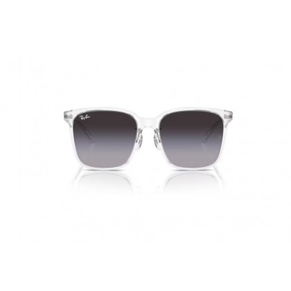 Sunglasses Ray Ban RB 2206D