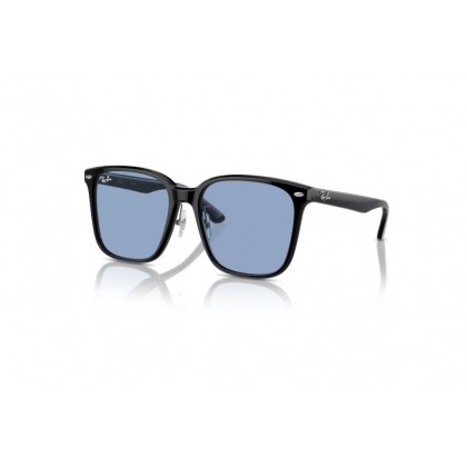 Γυαλιά ηλίου Ray Ban RB 2206D