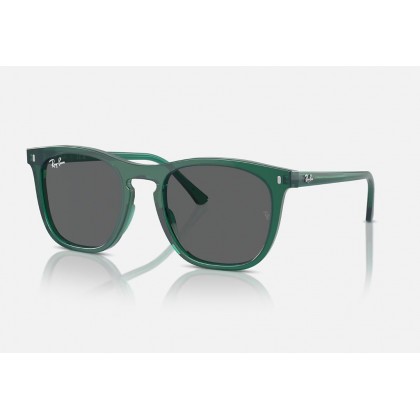 Sunglasses Ray Ban RB 2210 