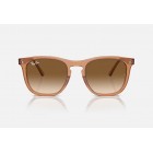 Γυαλιά ηλίου Ray Ban RB 2210