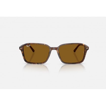 Γυαλιά ηλίου Ray Ban RB 2231 Raimond