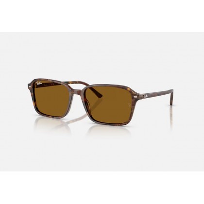 Γυαλιά ηλίου Ray Ban RB 2231 Raimond