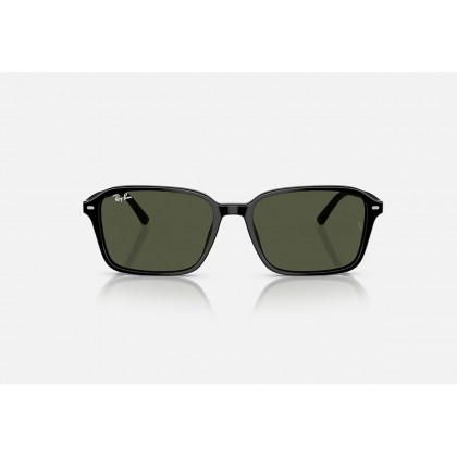 Γυαλιά ηλίου Ray Ban RB 2231 Raimond