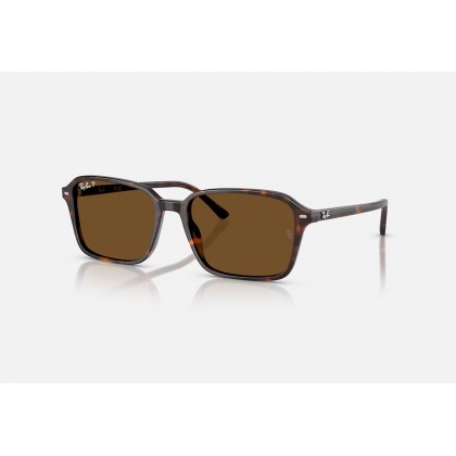 Γυαλιά ηλίου Ray Ban RB 2231 Raimond Polarized