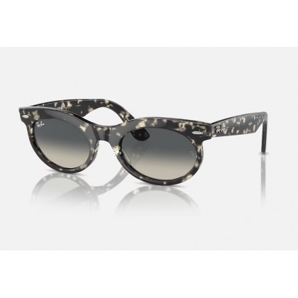 Sunglasses Ray Ban RB 2242 Wayfarer Οval