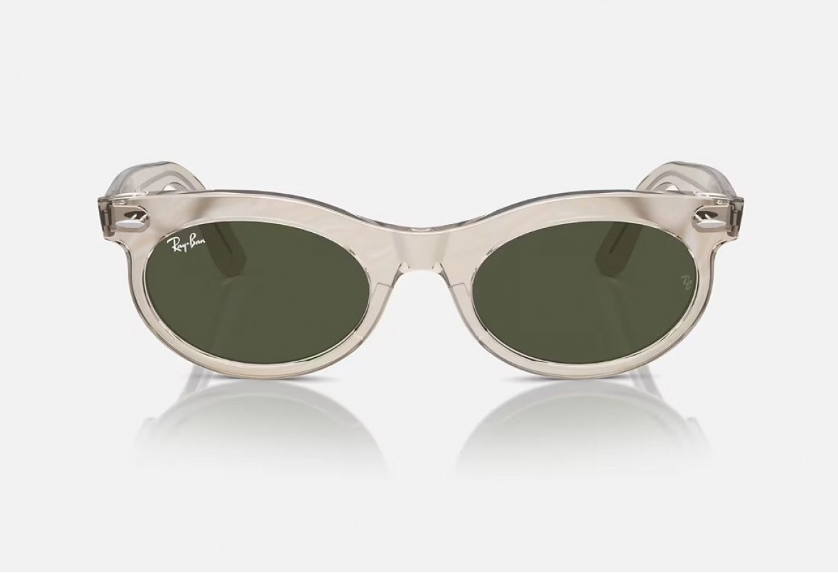 Sunglasses Ray Ban RB 2242 Wayfarer Οval Change