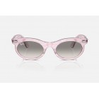 Sunglasses Ray Ban RB 2242 Wayfarer Οval Change