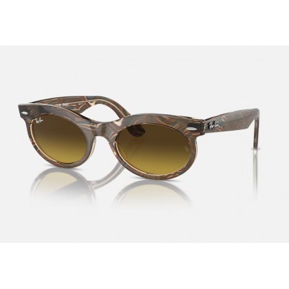 Sunglasses Ray Ban RB 2242 Wayfarer Οval Change