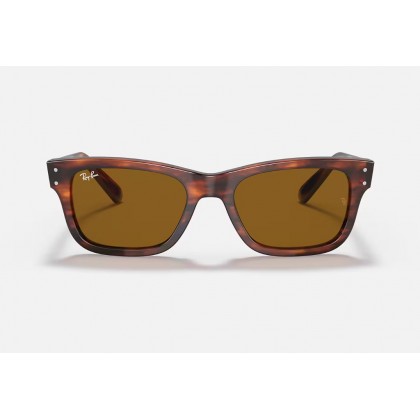 Sunglasses Ray Ban RB 2283 Mr Burbank 