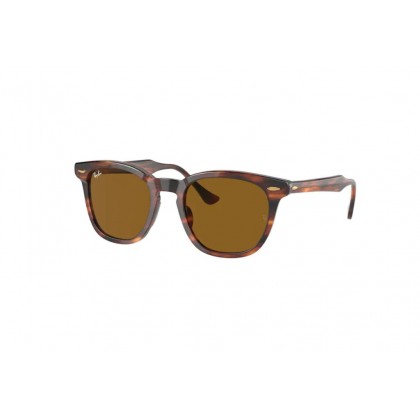 Γυαλιά ηλίου Ray Ban RB 2298 Hawkeye