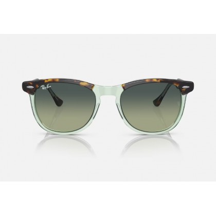 Sunglasses Ray Ban RB 2398 Eagleeye