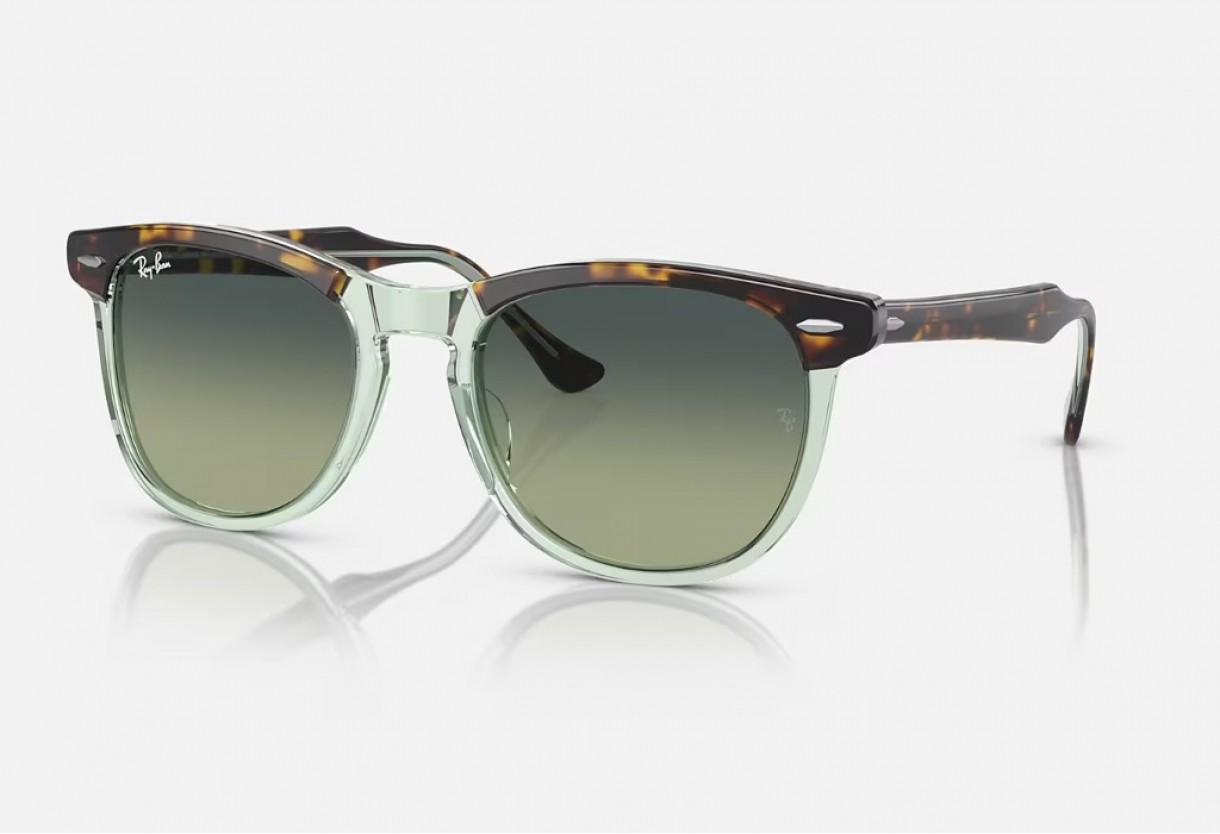 Sunglasses Ray Ban RB 2398 Eagleeye