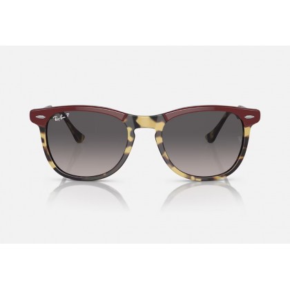 Sunglasses Ray Ban RB 2398 Eagleeye Polarized