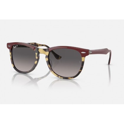 Sunglasses Ray Ban RB 2398 Eagleeye Polarized