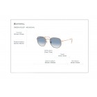 Sunglasses Ray Ban RB 3548 Hexagonal