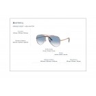 Sunglasses Ray Ban RB 3625