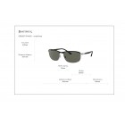 Sunglasses Ray Ban RB 3671CH Polarized