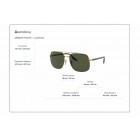 Γυαλιά ηλίου Ray Ban RB 3699 Chromance Polarized