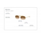 Γυαλιά ηλίου Ray Ban RB 3719