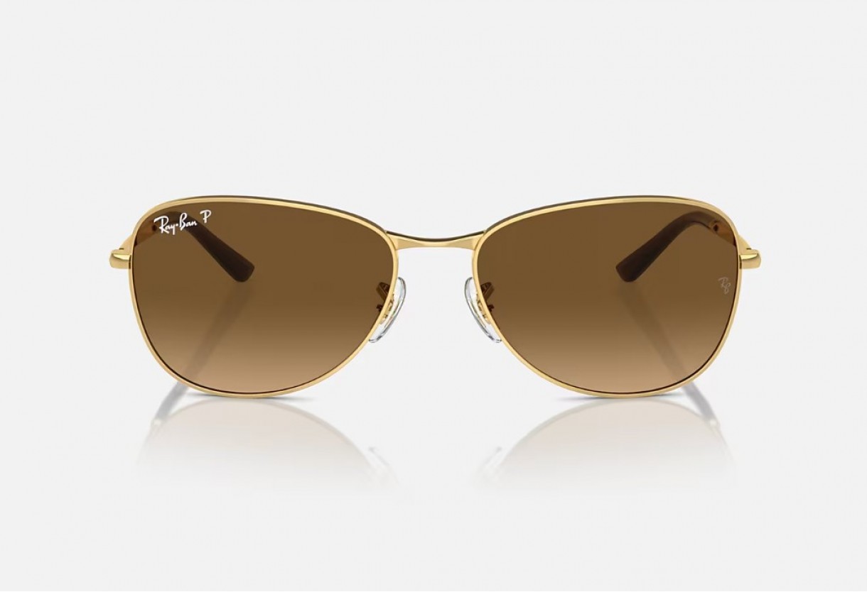 Γυαλιά ηλίου Ray Ban RB 3733 Polarized