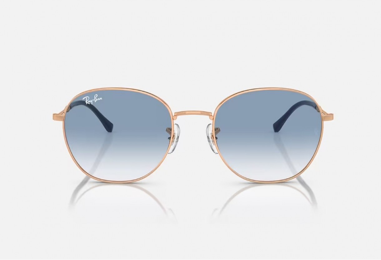 Sunglasses Ray Ban RB 3809