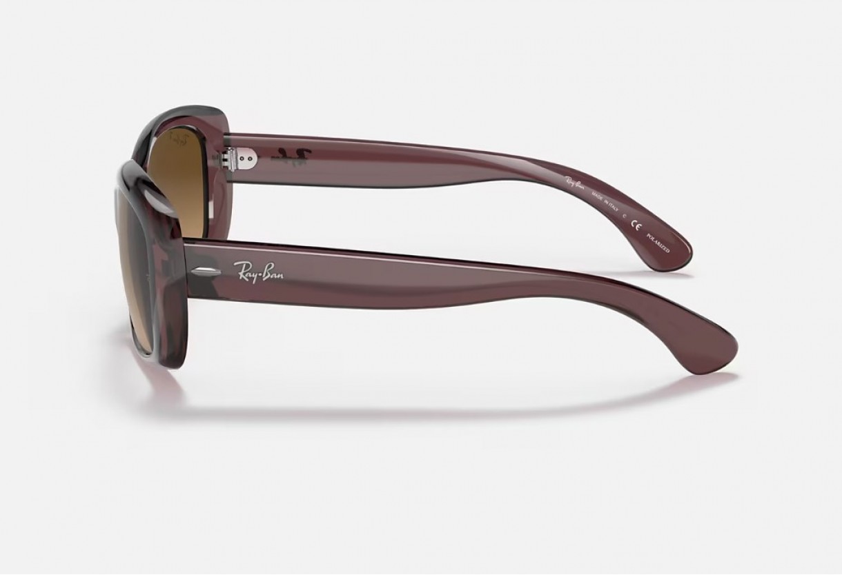 Sunglasses Ray Ban RB 4101 Polarized