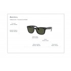 Sunglasses Ray Ban RB 4105 Folding Wayfarer