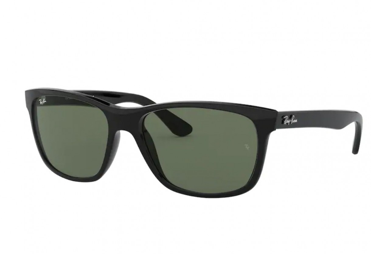 Sunglasses Ray Ban RB 4181