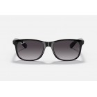 Γυαλιά ηλίου Ray Ban RB 4202 Andy